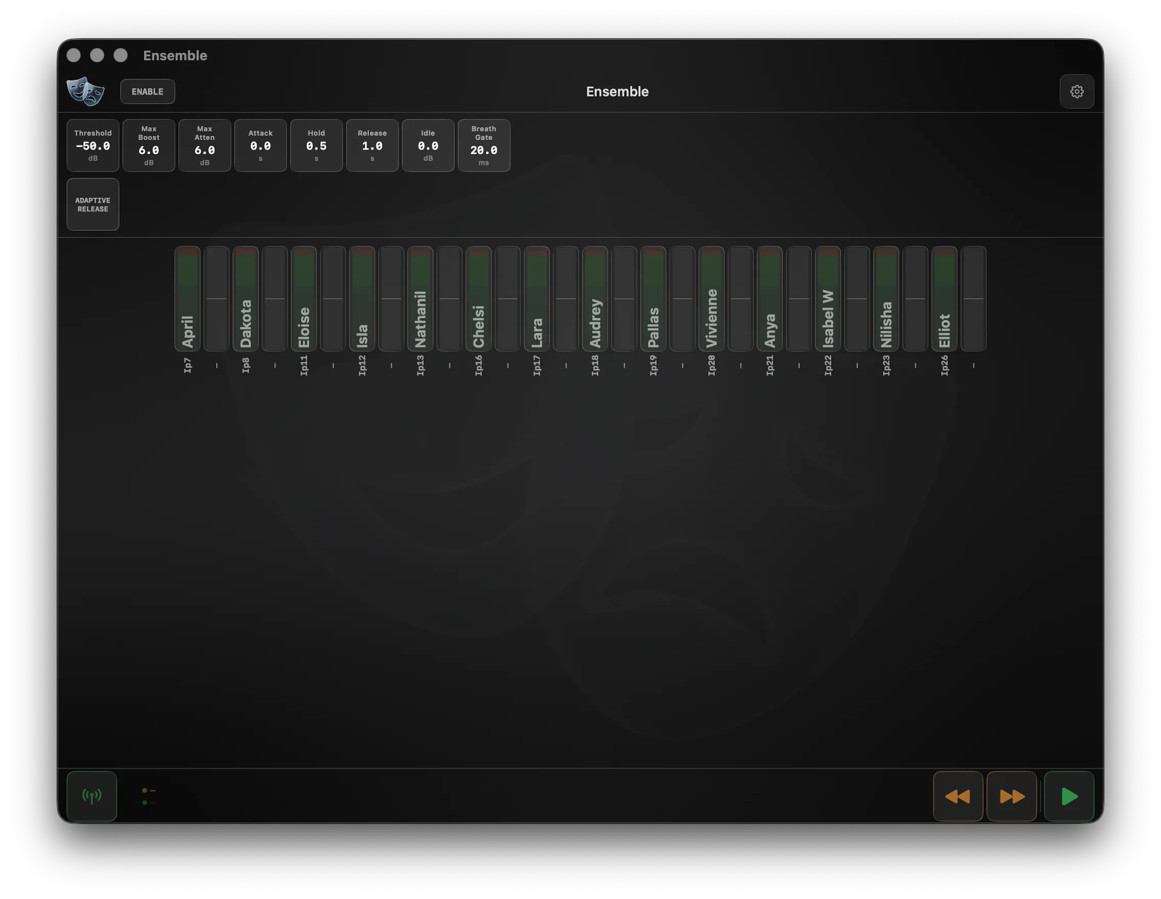 Version T Ensemble screen showing a channel grid with dual meters per channel — input level and gain reduction — and the seven levelling parameters